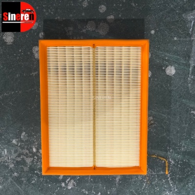Air Filter 165462ZG0BA201 for DONGFENG RICH 6